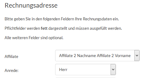 Affiliate-Auswahl