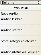 Die Befehle des Bereichs eBay